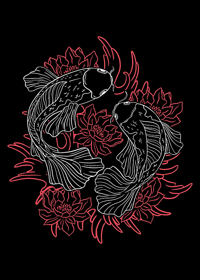 Japanese Koi Fish
