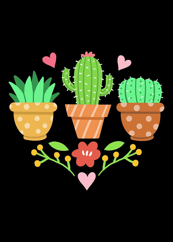 Cactus Plants