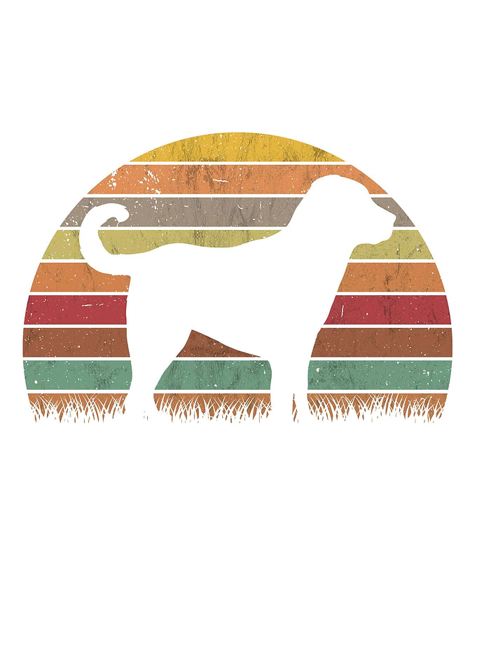 Kangal Vintage Shepherd