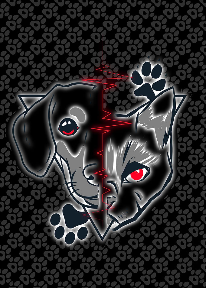 Dog and Cats