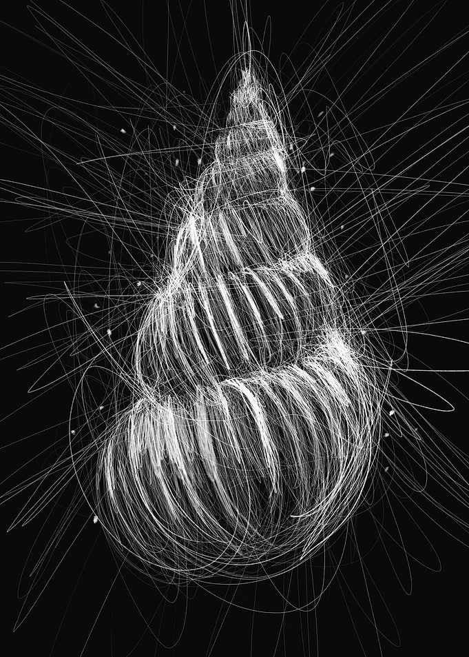 SeaShell