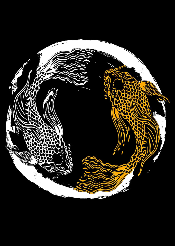 Japanese Koi Fish
