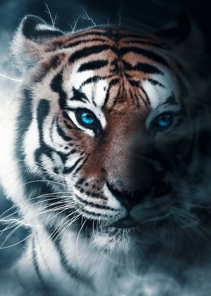 thunder lightning tiger