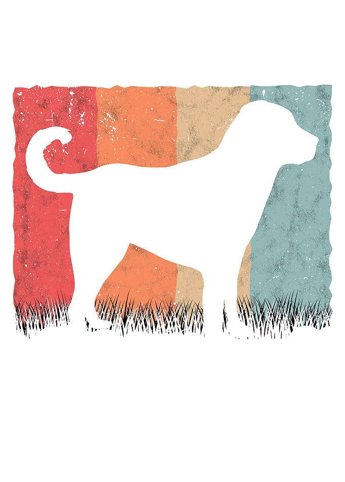 Kangal Vintage Anatolian