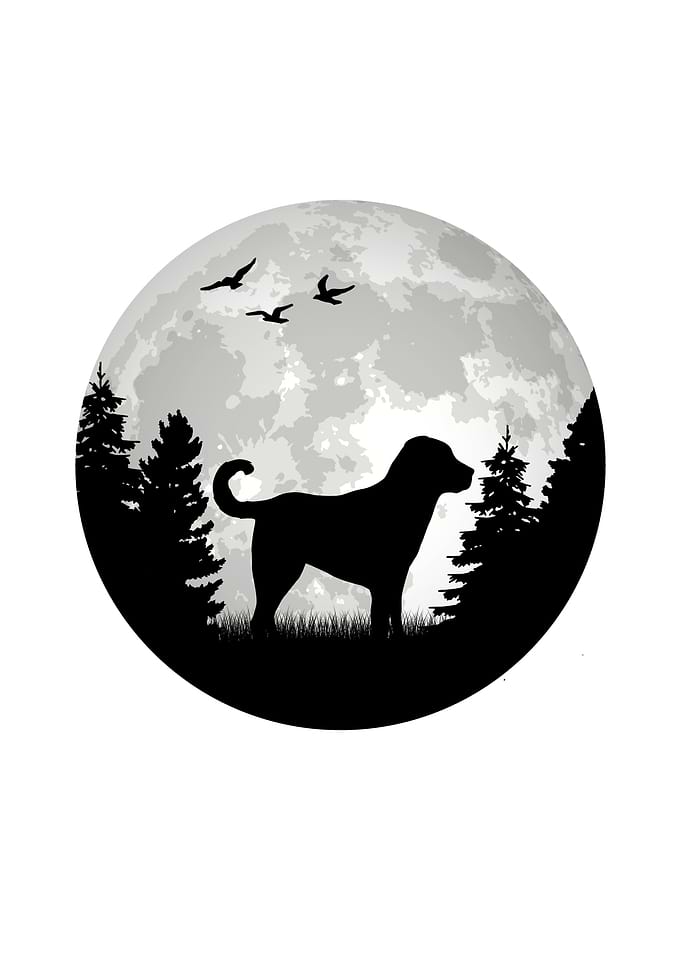 Kangal Moon Anatolian