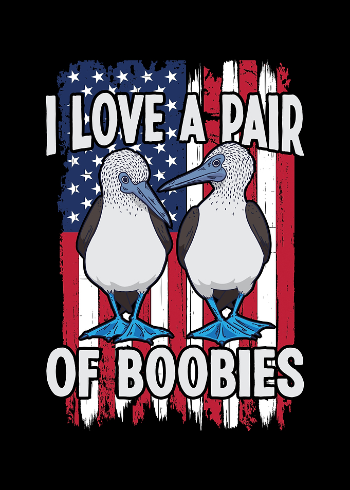 Blue Footed Booby Bird