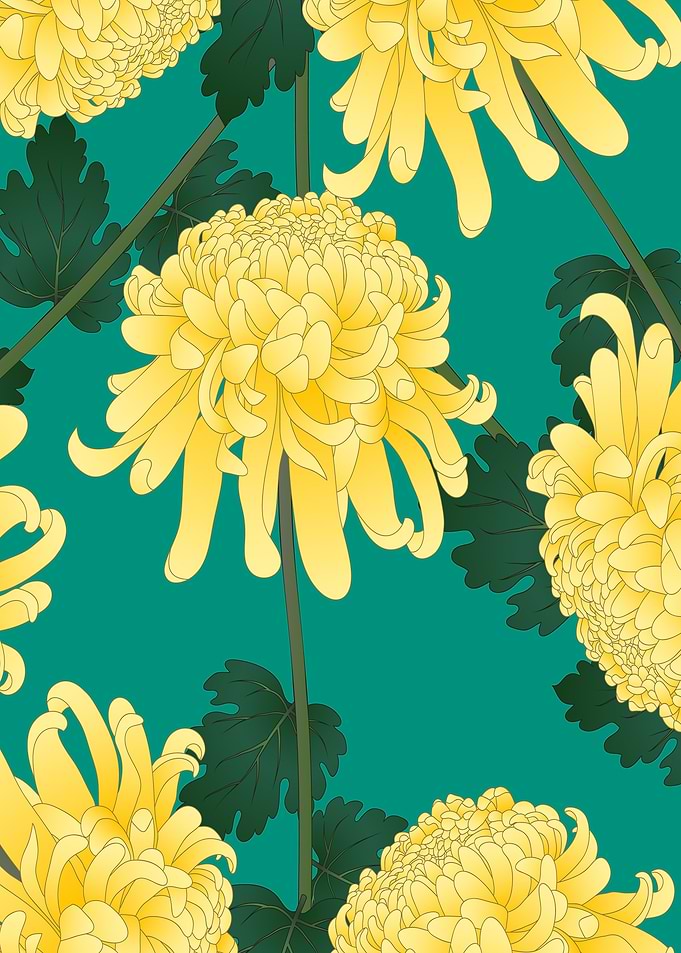 chrysanthemum green yellow
