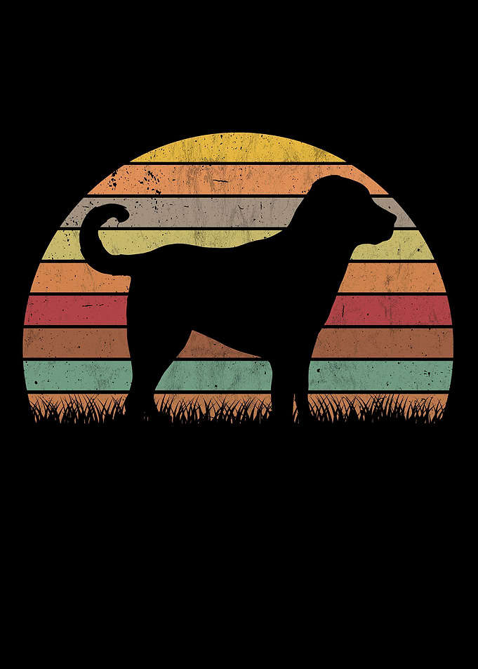 Kangal Vintage Shepherd
