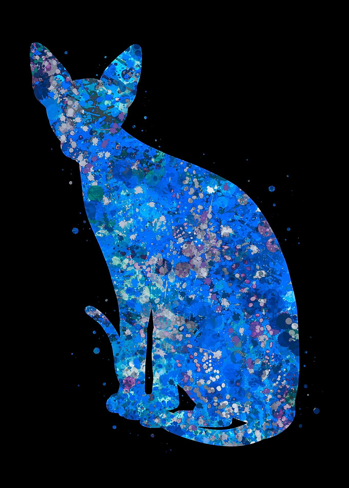 Cat Sphynx blue art