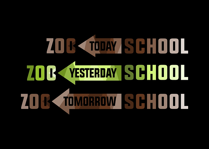 Safari School Zoo Animal