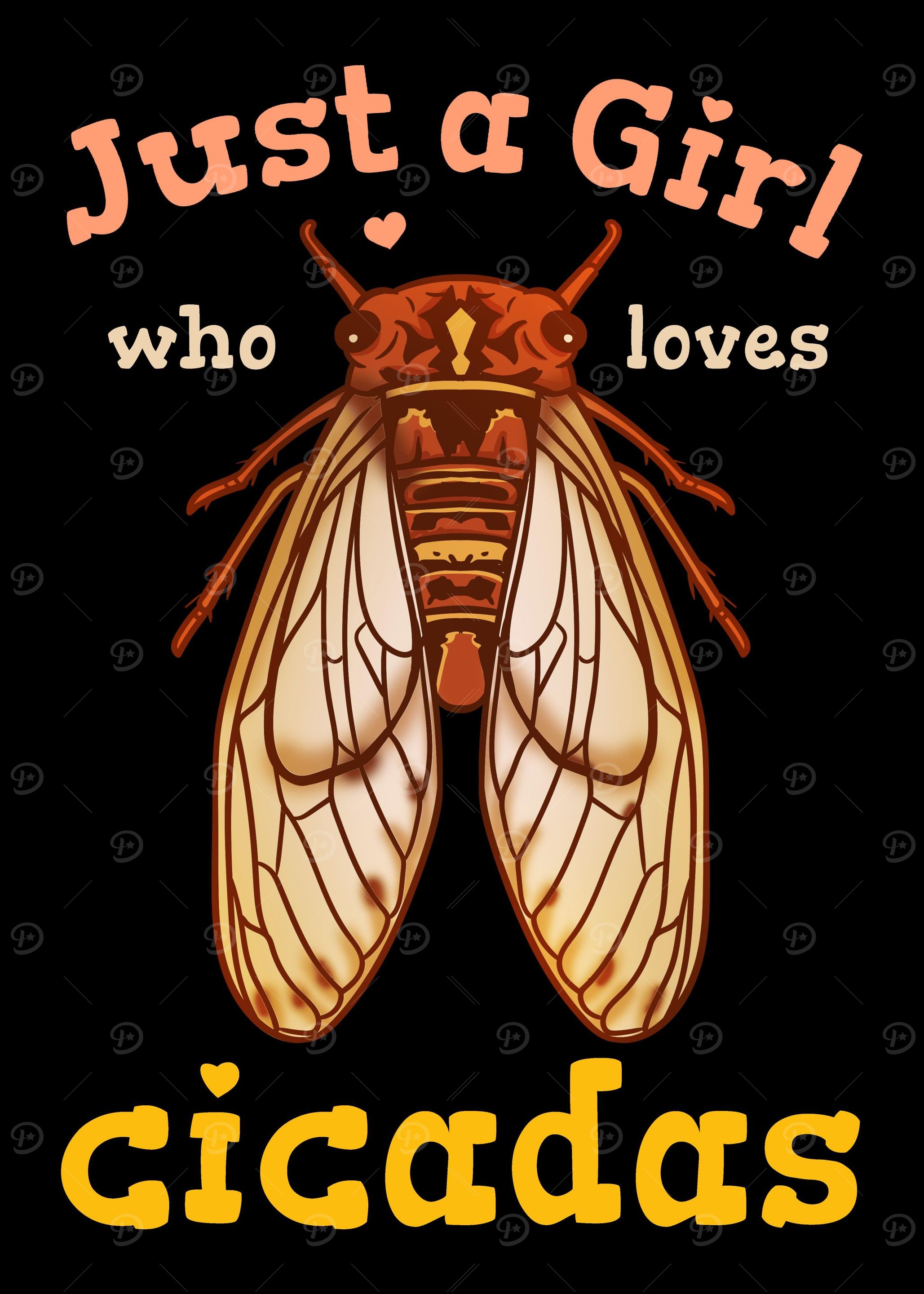 Cicada Insect