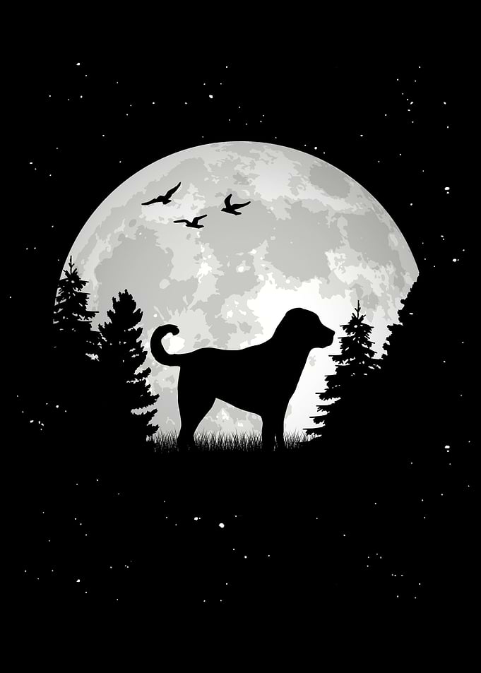 Kangal Moon Anatolian