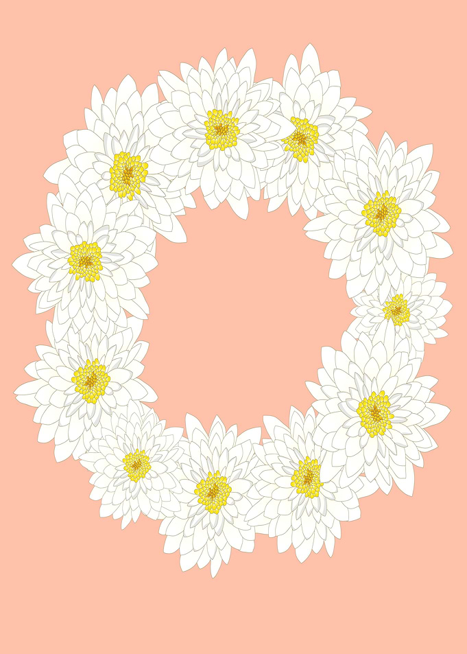 chrysanthemum flowers