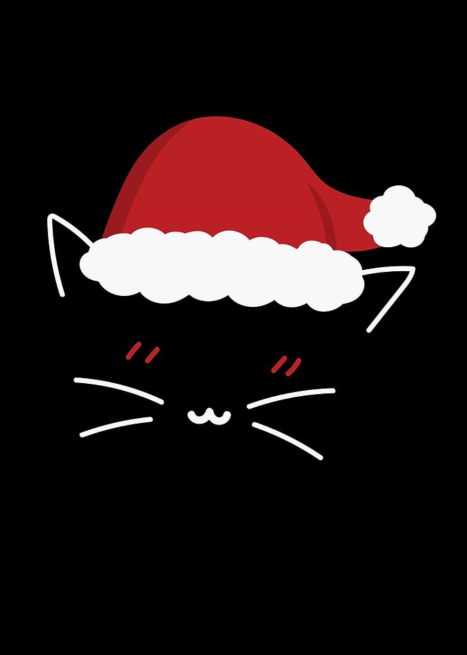 Cat Lover Gifts
