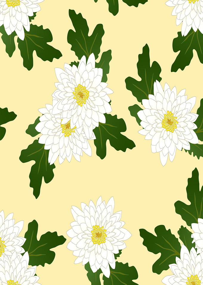 white chrysanthemum ivory