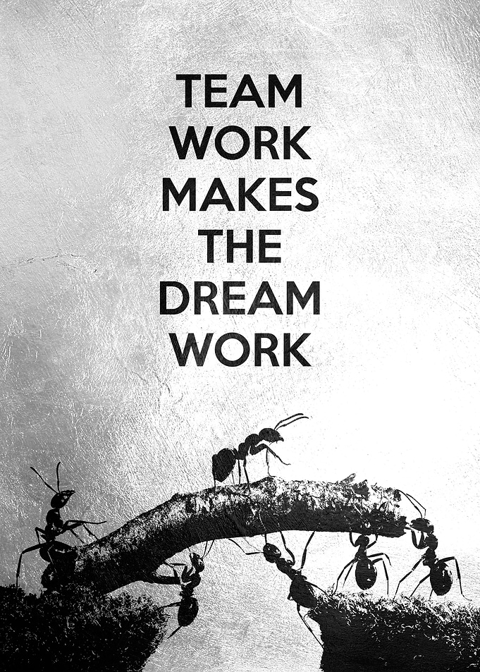 Ants Teamwork