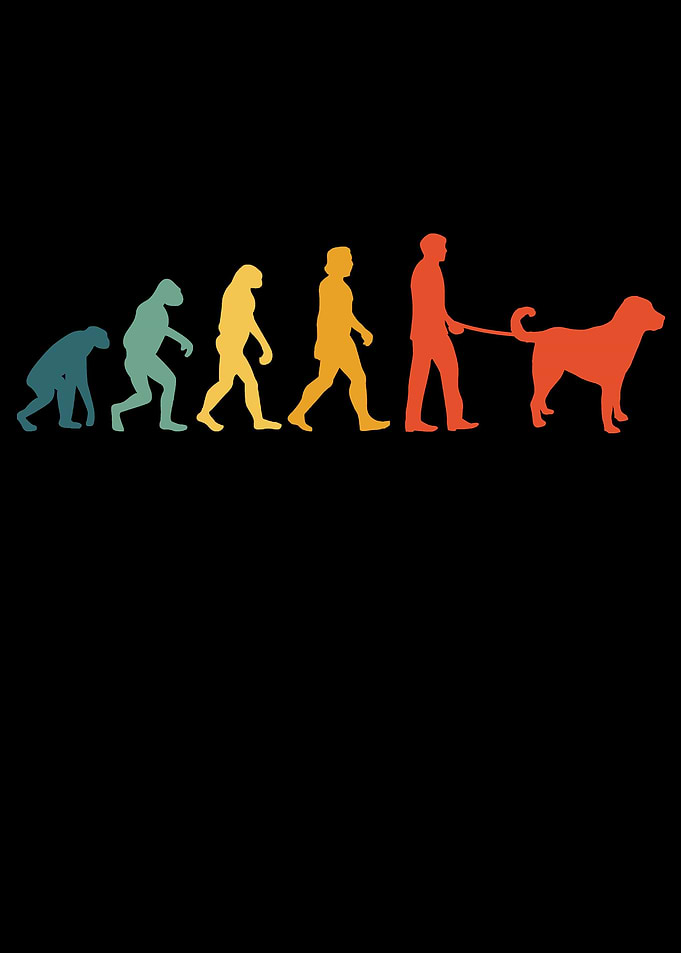 Kangal Evolution Vintage