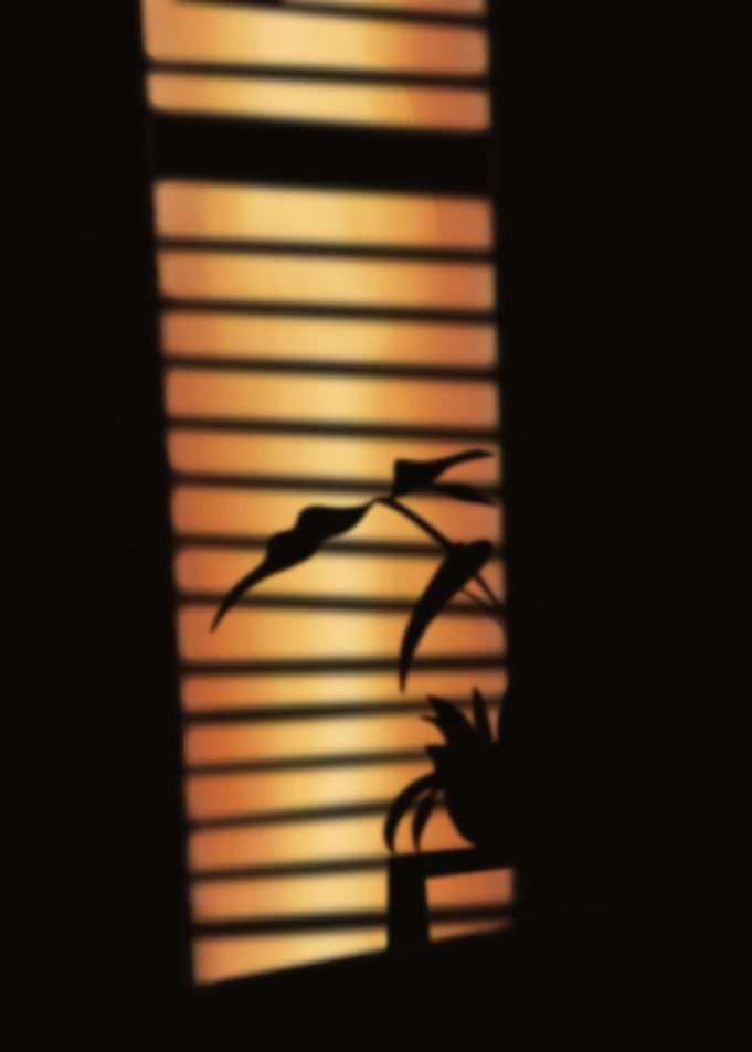 Late Sunday afternoon