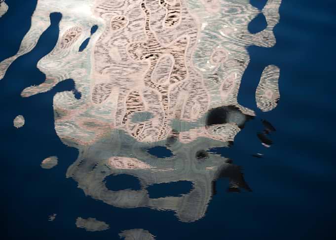 Reflection in water
