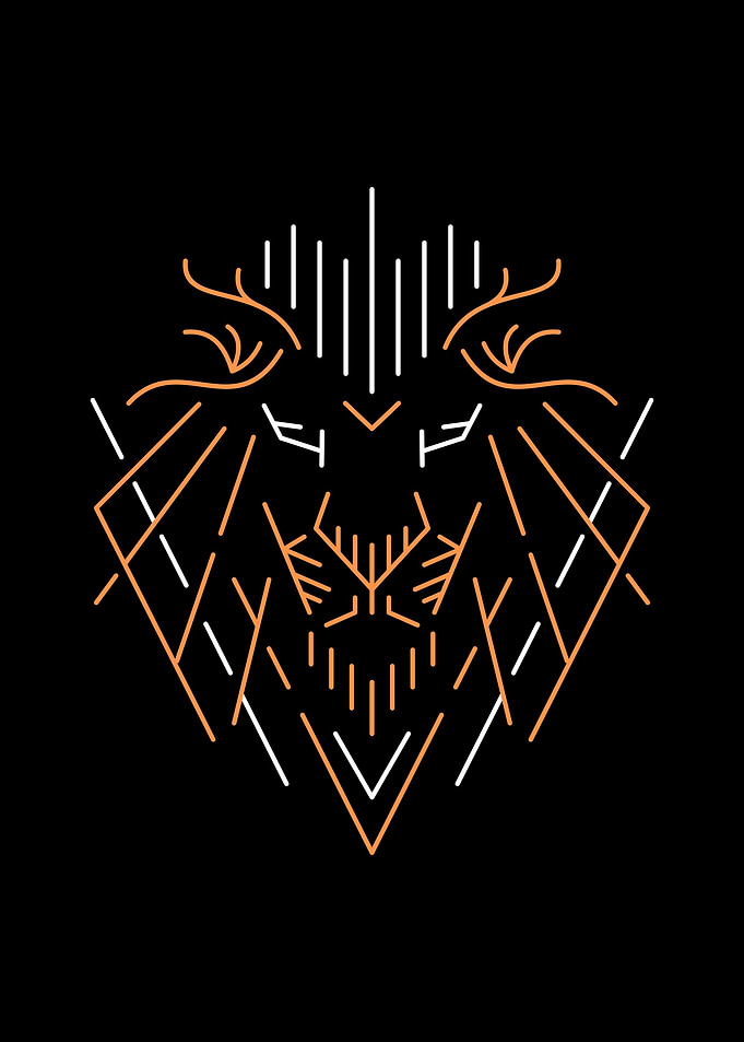 Wild Lion Outline