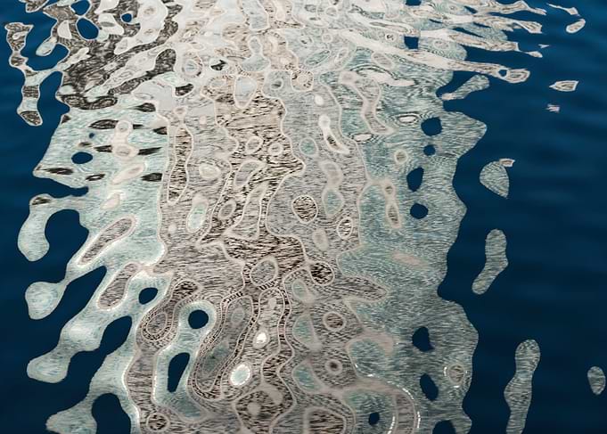 Reflection in water