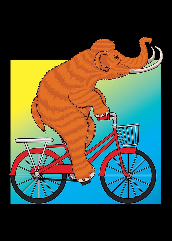 Mammoth Tusk Elephant Love