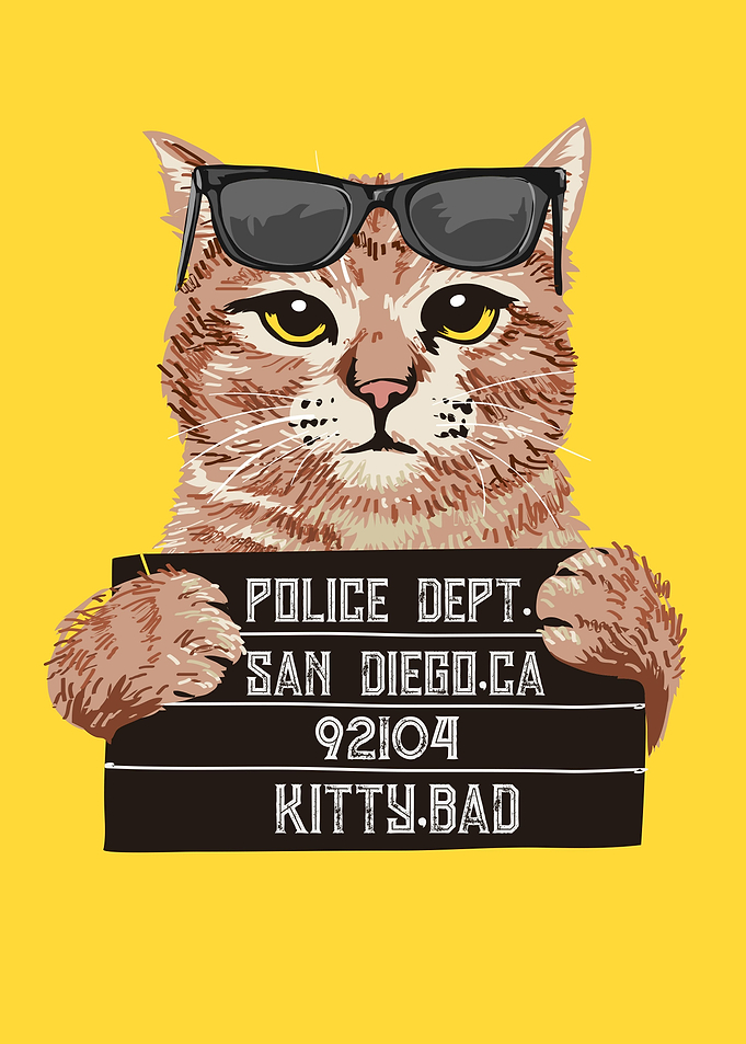 Bad Kitty