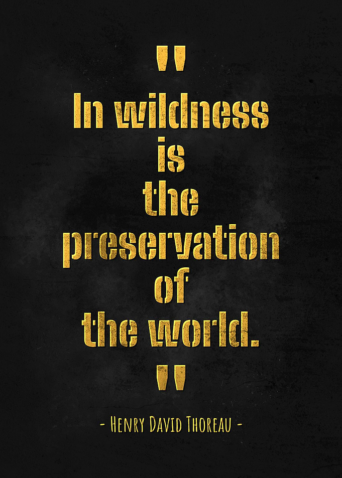 Henry David Thoreau Quotes