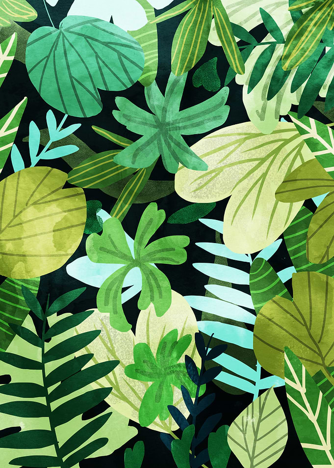 Rainforest v2