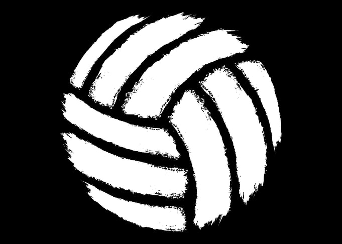 Volleyball ball
