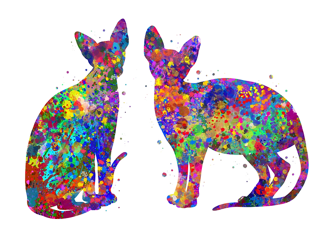 Sphynx Cat couple pop art