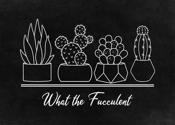 What The Fucculent Cactus