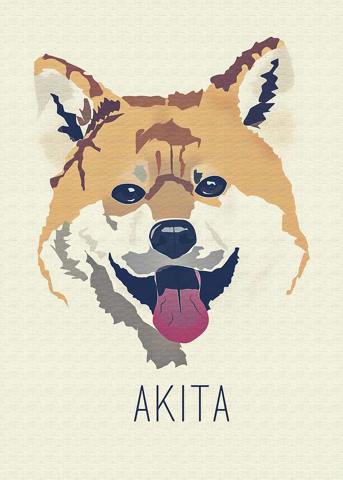 Akita