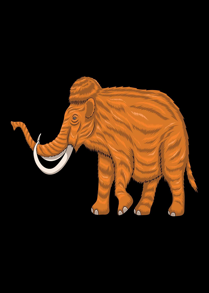 Mammoth Tusk Elephant Love