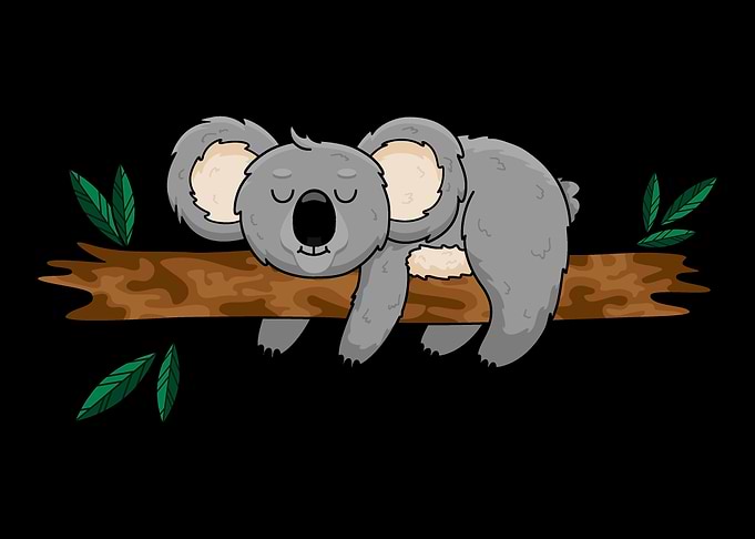 Koala Bear Koalas