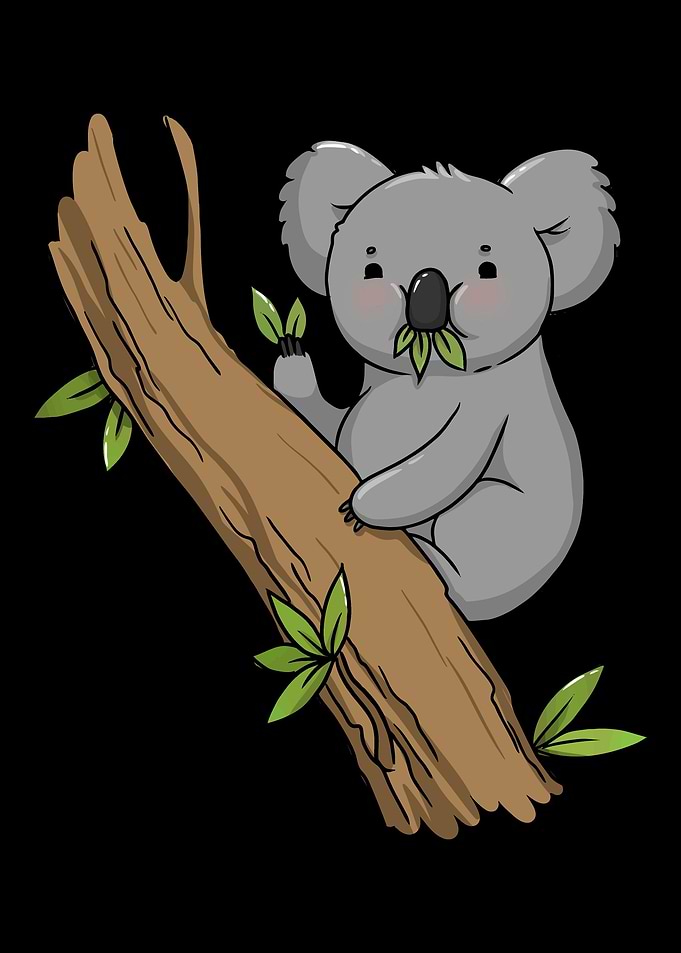 Koala Bear Koalas