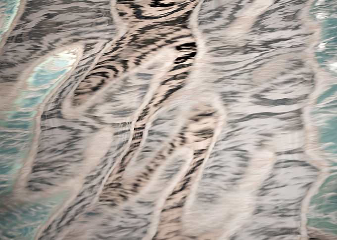Reflection in water