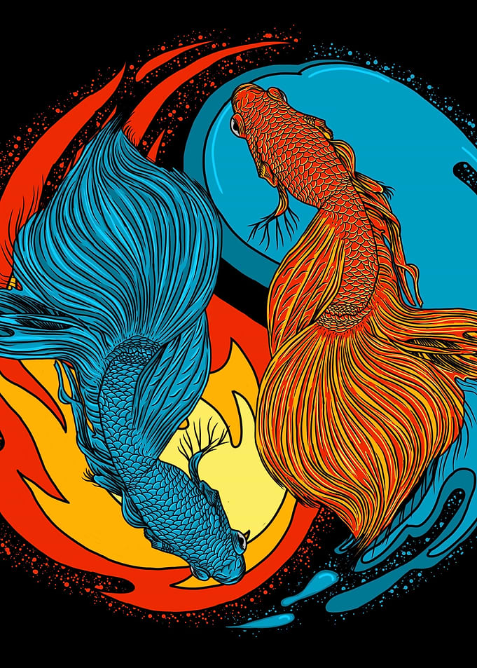 Ying Yang Fish Balance