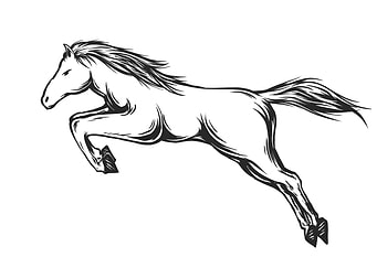 Jump Horse