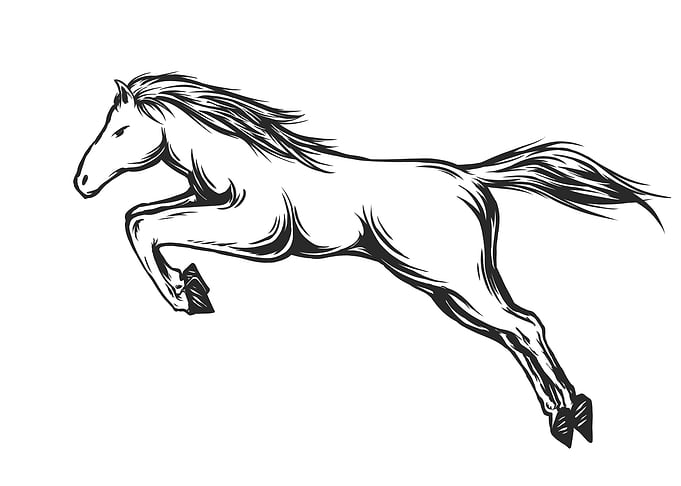 Jump Horse
