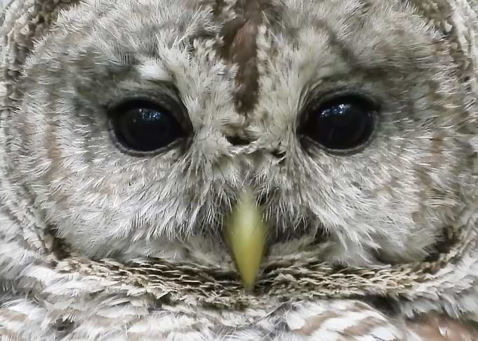 Her