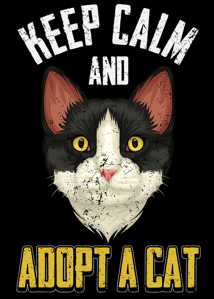 Adopt A Cat
