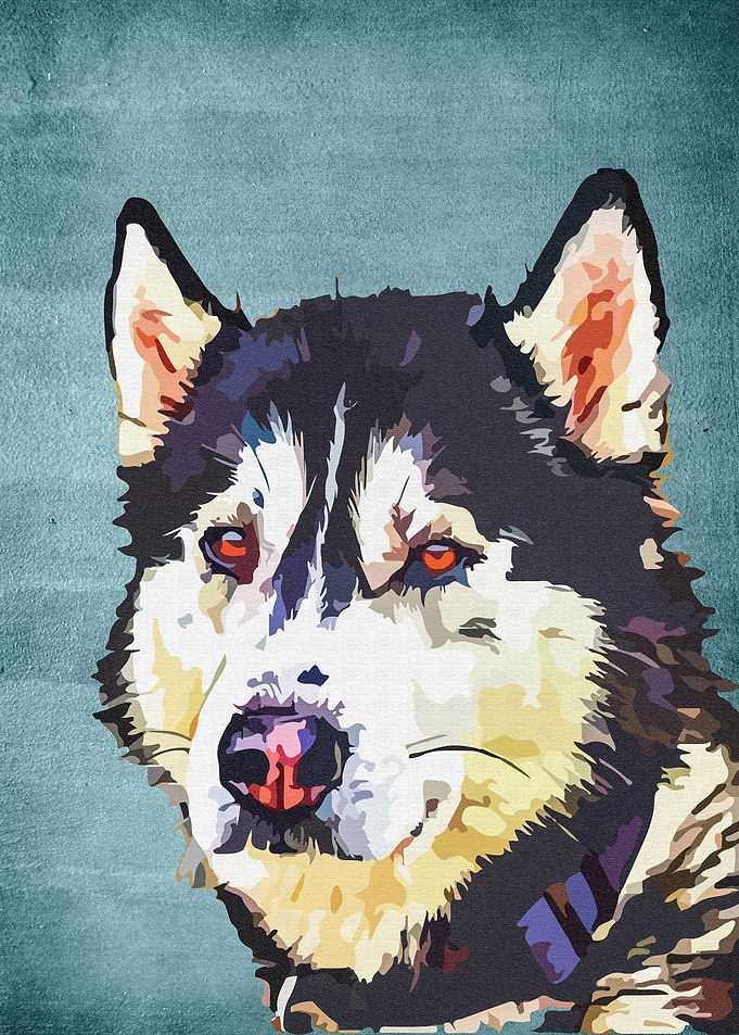 Husky