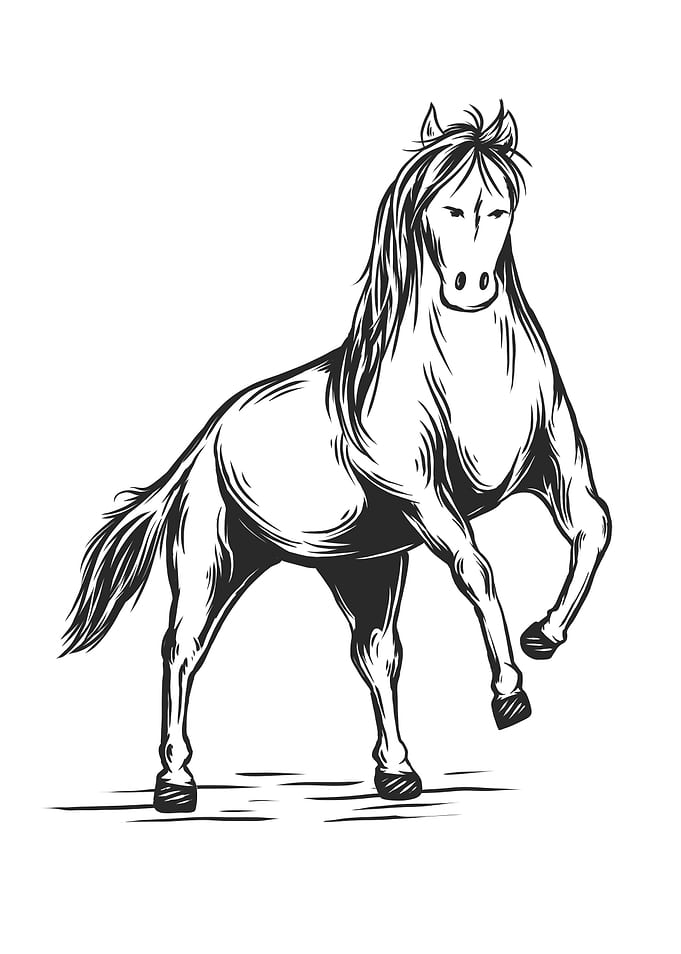 Brave Horse