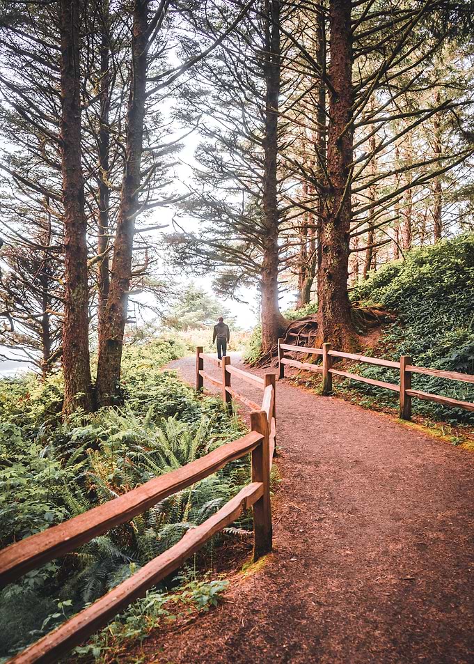 Hiking in the Fog PNW