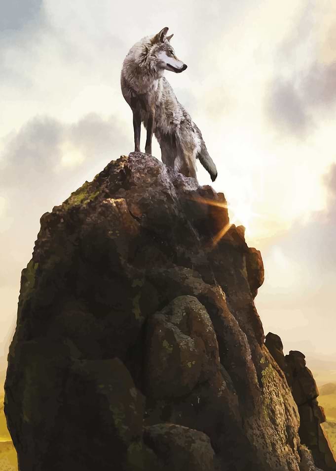 Wolf