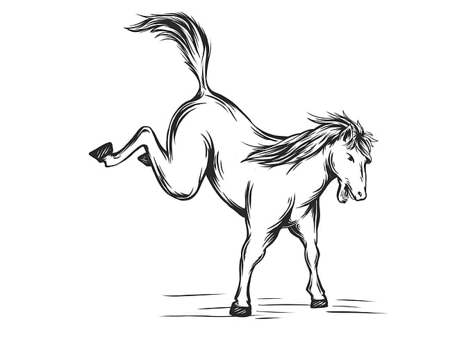 Angry Horse