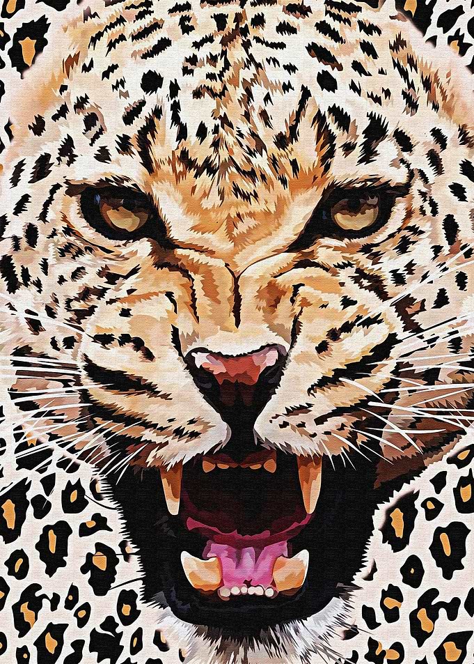 Cheetah