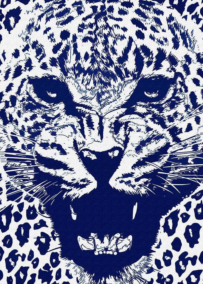 Cheetah