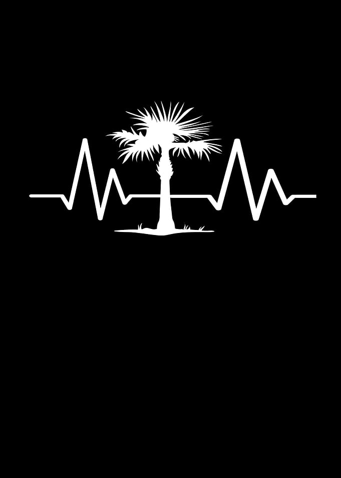 Palms Heartbeat